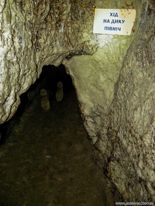 dscn5912