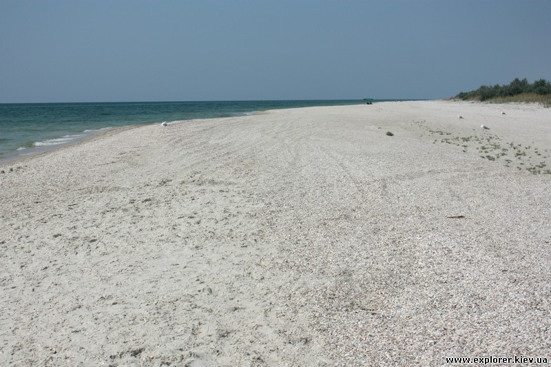 Песчанно-ракушечный пляж