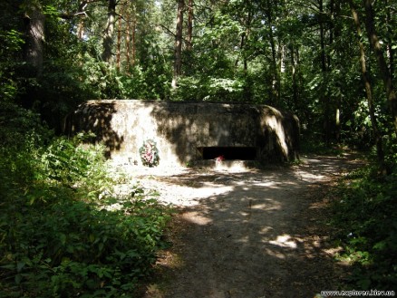 dot-179-2 ДОТ №179